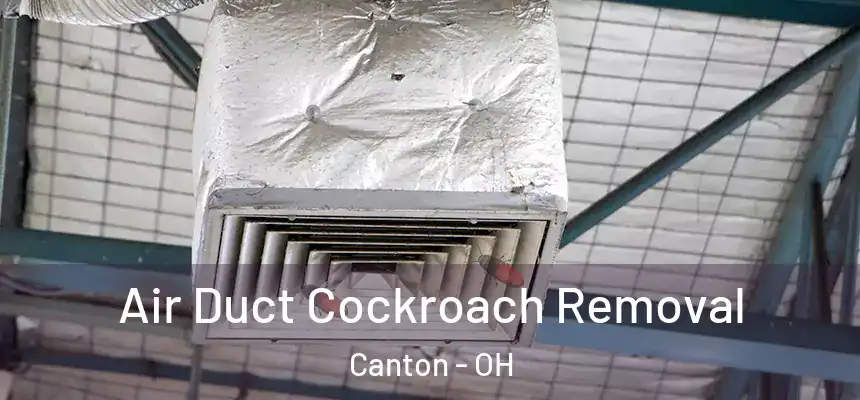  Air Duct Cockroach Removal Canton - OH