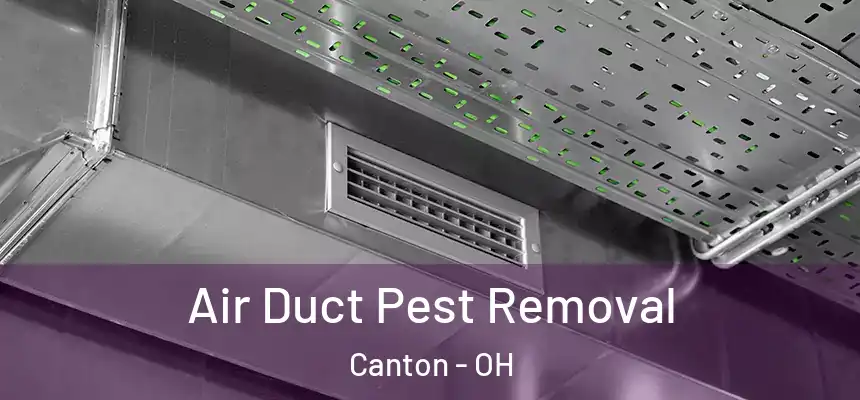  Air Duct Pest Removal Canton - OH