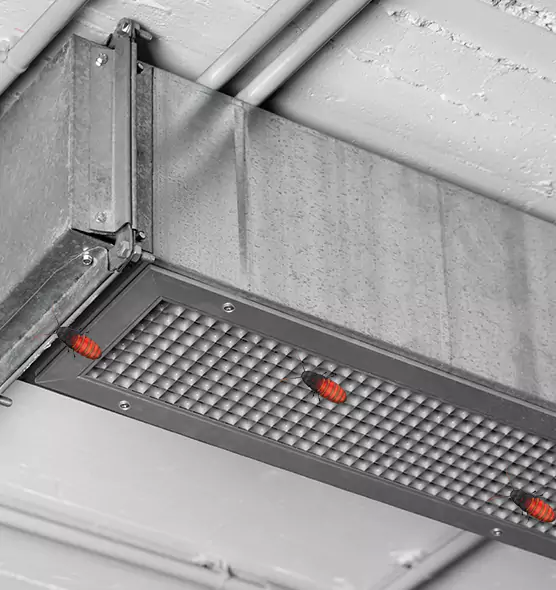 About Air Duct Cockroach Removal in Canton, OH