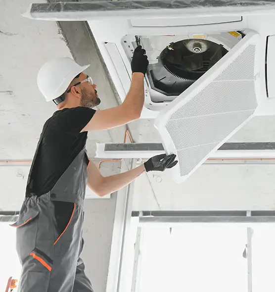 About Air Duct Rodent Removal in Canton, OH