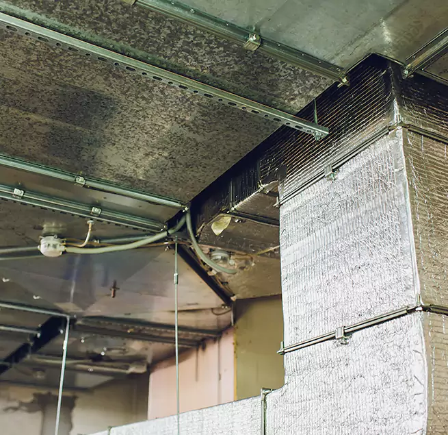 Why Homeowners & Businesses Trust Us in Canton, OH?